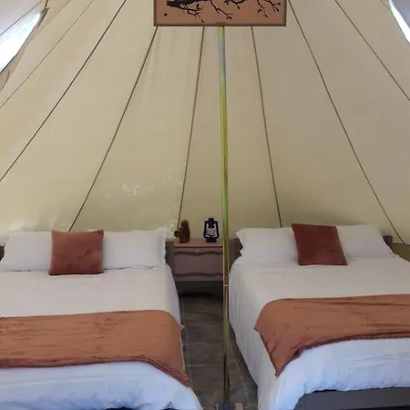 Bed & Breakfast Domaine De La Sauzaie *