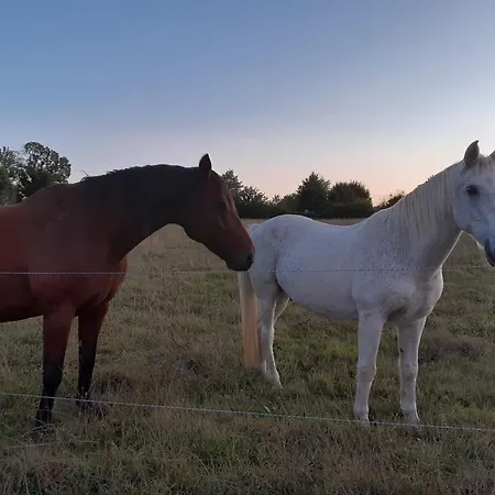 ベッド・アンド・ブレックファスト Domaine De La Sauzaie La Pommeraie-sur-Sèvre