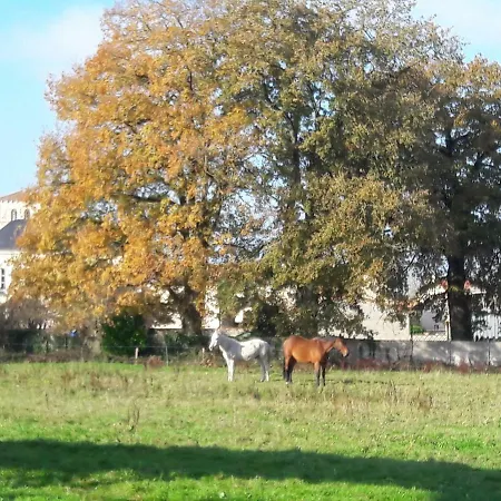 Domaine De La Sauzaie Bed & Breakfast *